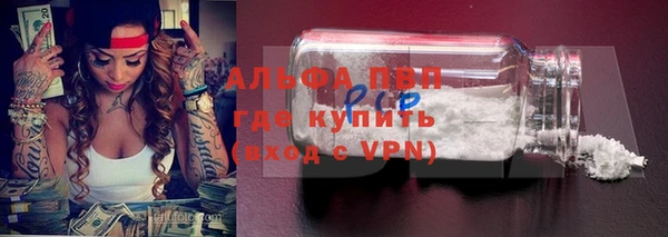 прущие грибы Россошь